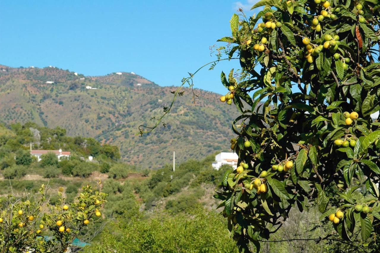 Jingtu Wellness & Spa B&B Comares Eksteriør bilde